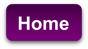 Home button
